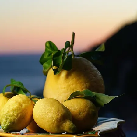 O' Lattariello לינה וארוחת בוקר אמאלפי